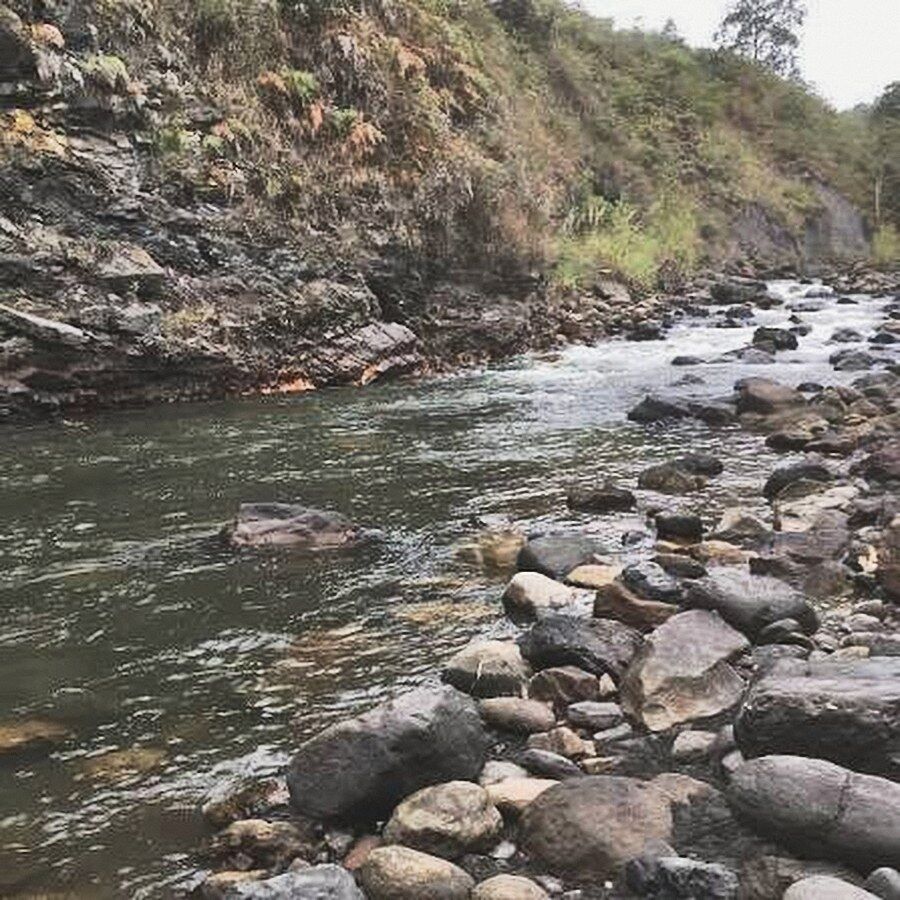 Río de montaña con piedras y ladera verde